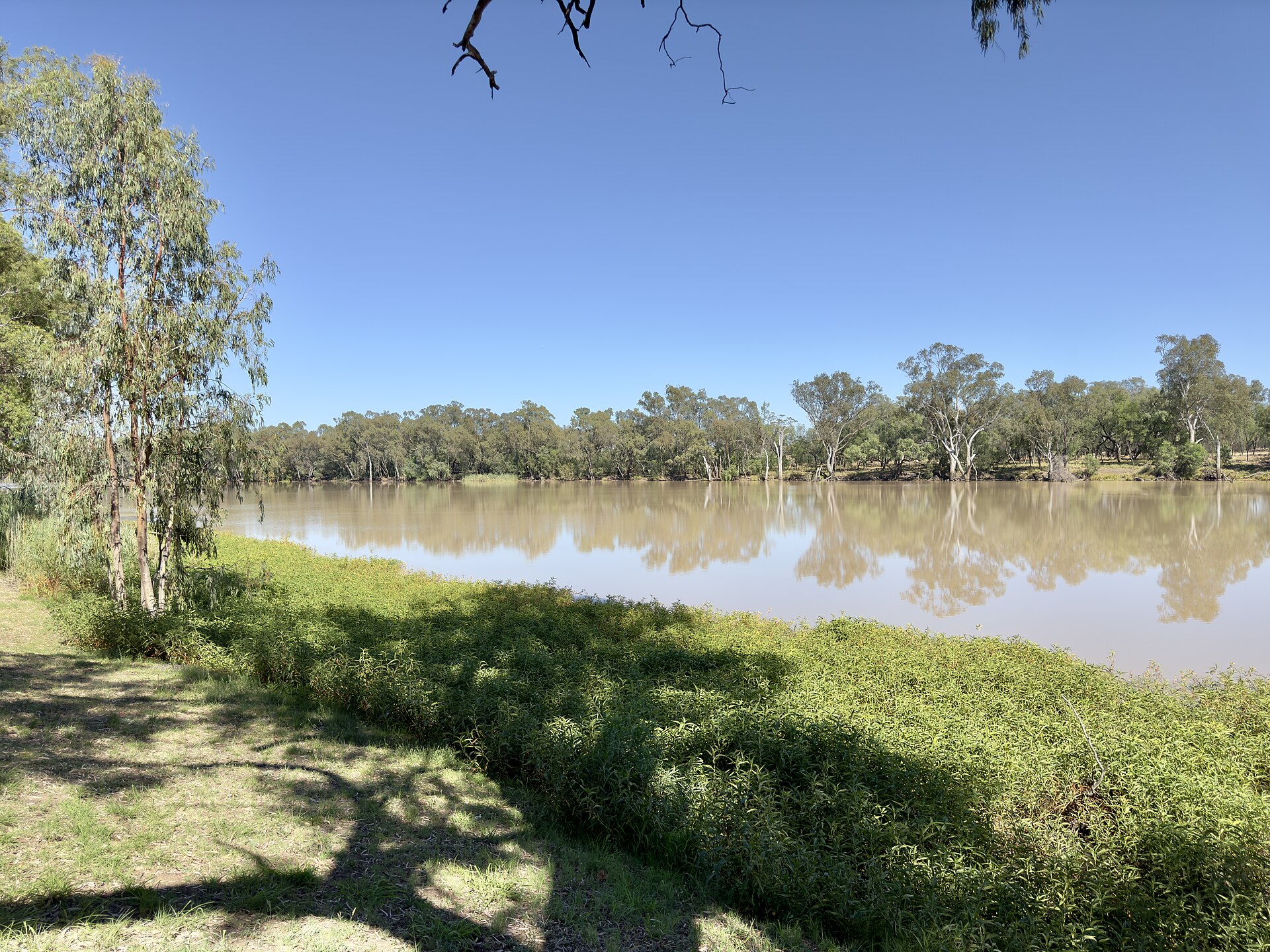 Balonne River at St George. Photo: Calistemon, Wikimedia Commons, CC BY SA 4.0