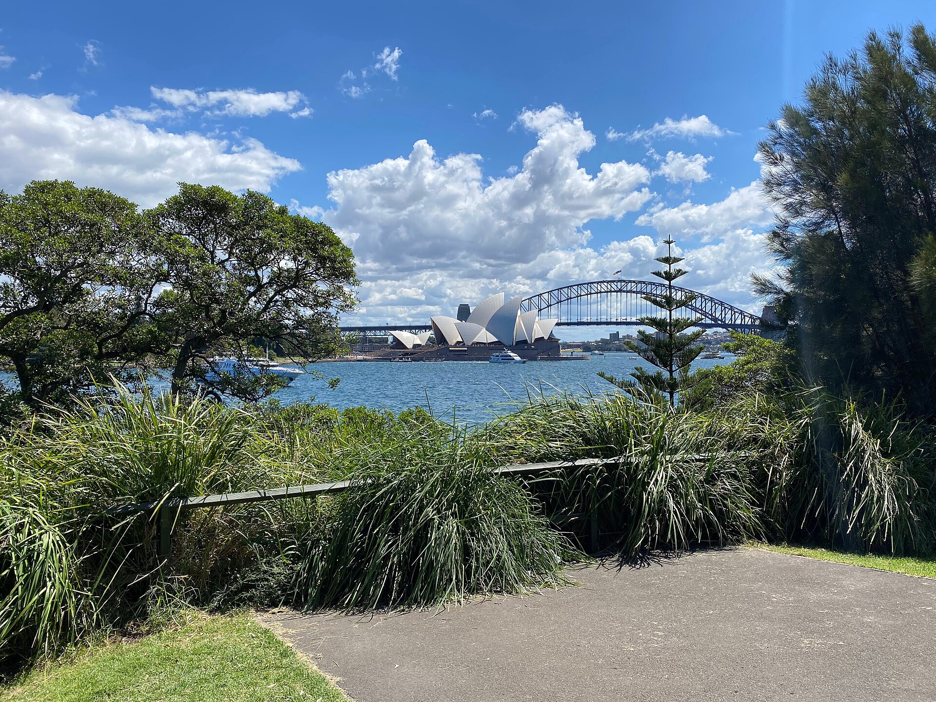 Sydney from Mrs Macquaries Point. Wikimedia Commons, CC BY 4.0